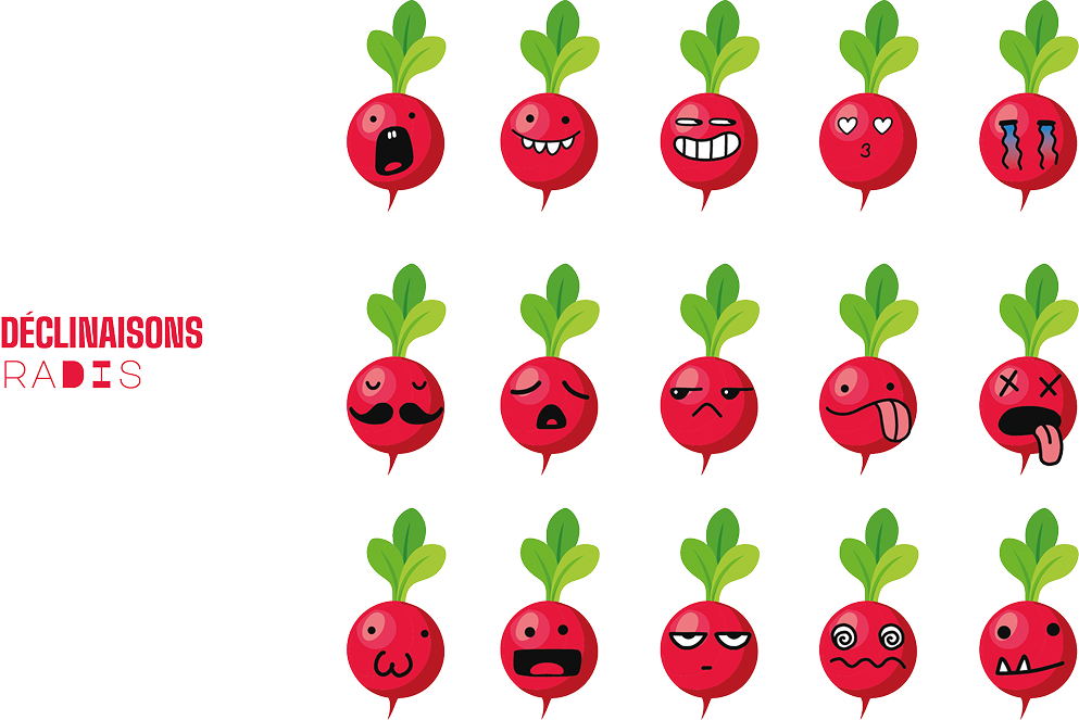 Declinaison des radis et concept de personnalisation