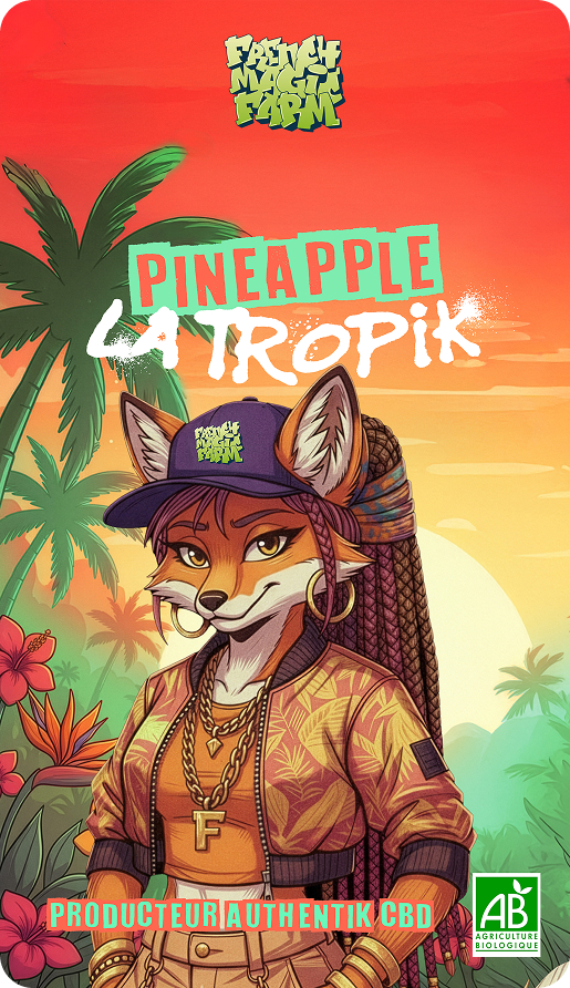 Design Packaging La Tropik FMF